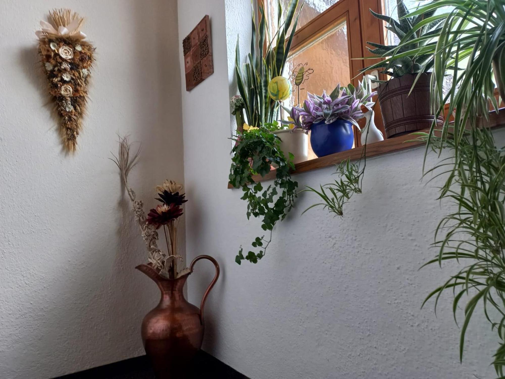 Ferienwohnungen Plattner Längenfeld Extérieur photo