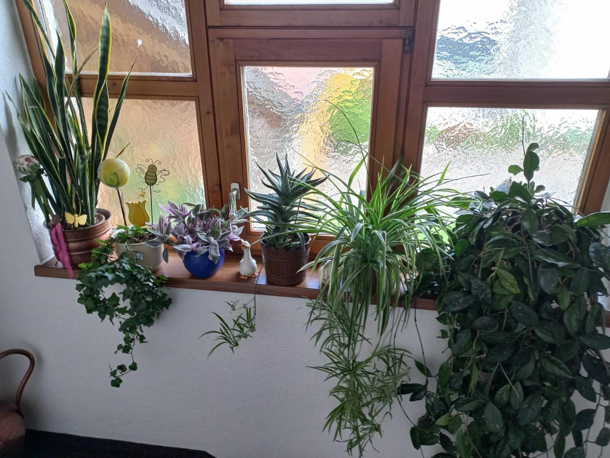 Ferienwohnungen Plattner Längenfeld Extérieur photo